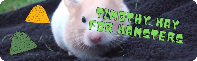 Timothy Hay for Hamsters